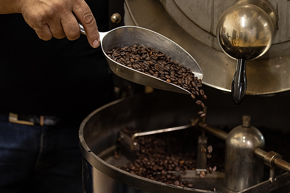 Moulu, Illycafé, Premium Kaffee kaufen