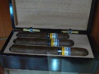 Die neue Maduro Linie