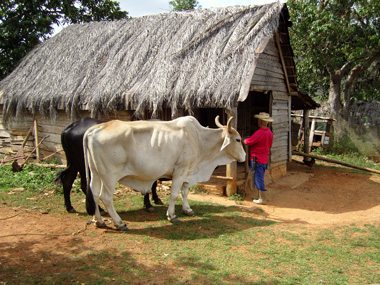 Benitos Hof