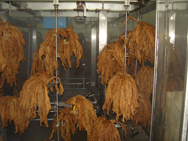 Deckblatt Befeuchtung
