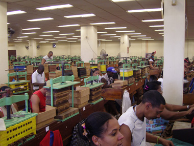 H. Upmann Torcedores H. Upmann Torcedores