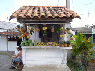 Früchtestand in Pinar