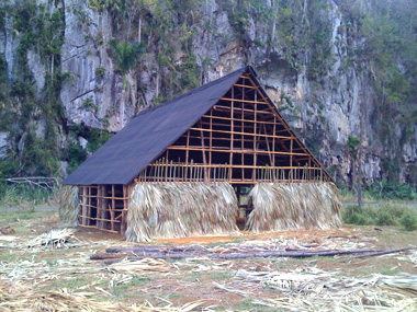 Halb fertiges Tabakhaus