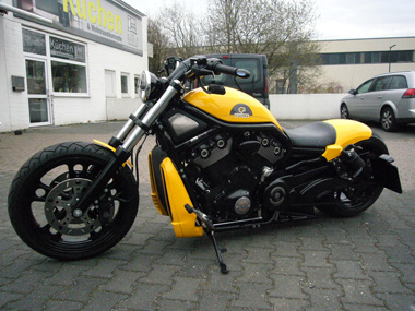 Cohiba Harley