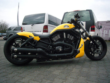 Cohiba Harley